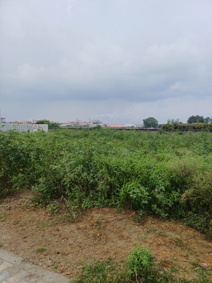 Garden, bhopani  50 Sq.Yd. Plot In Bhopani Faridabad 9276929