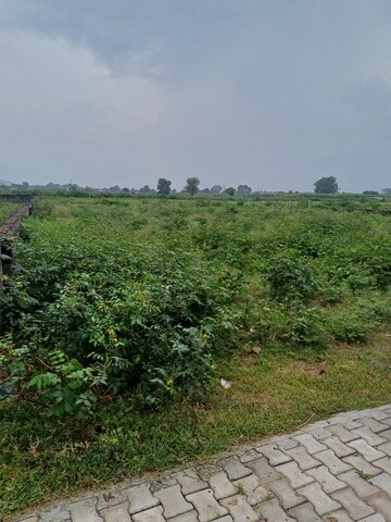  Plot – Garden View at Bhopani - for Sale