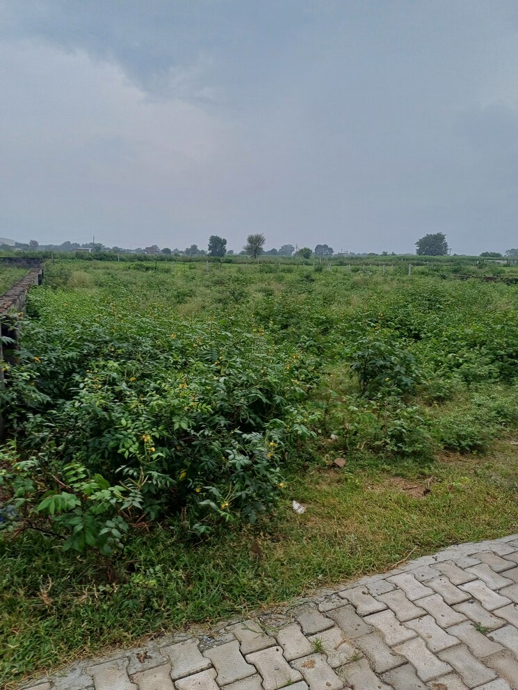 Garden, bhopani  51 Sq.Yd. Plot In Bhopani Faridabad 9276946