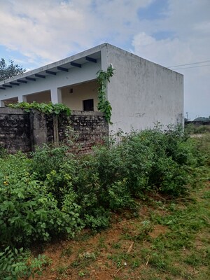  Plot For Sale in Bhopani