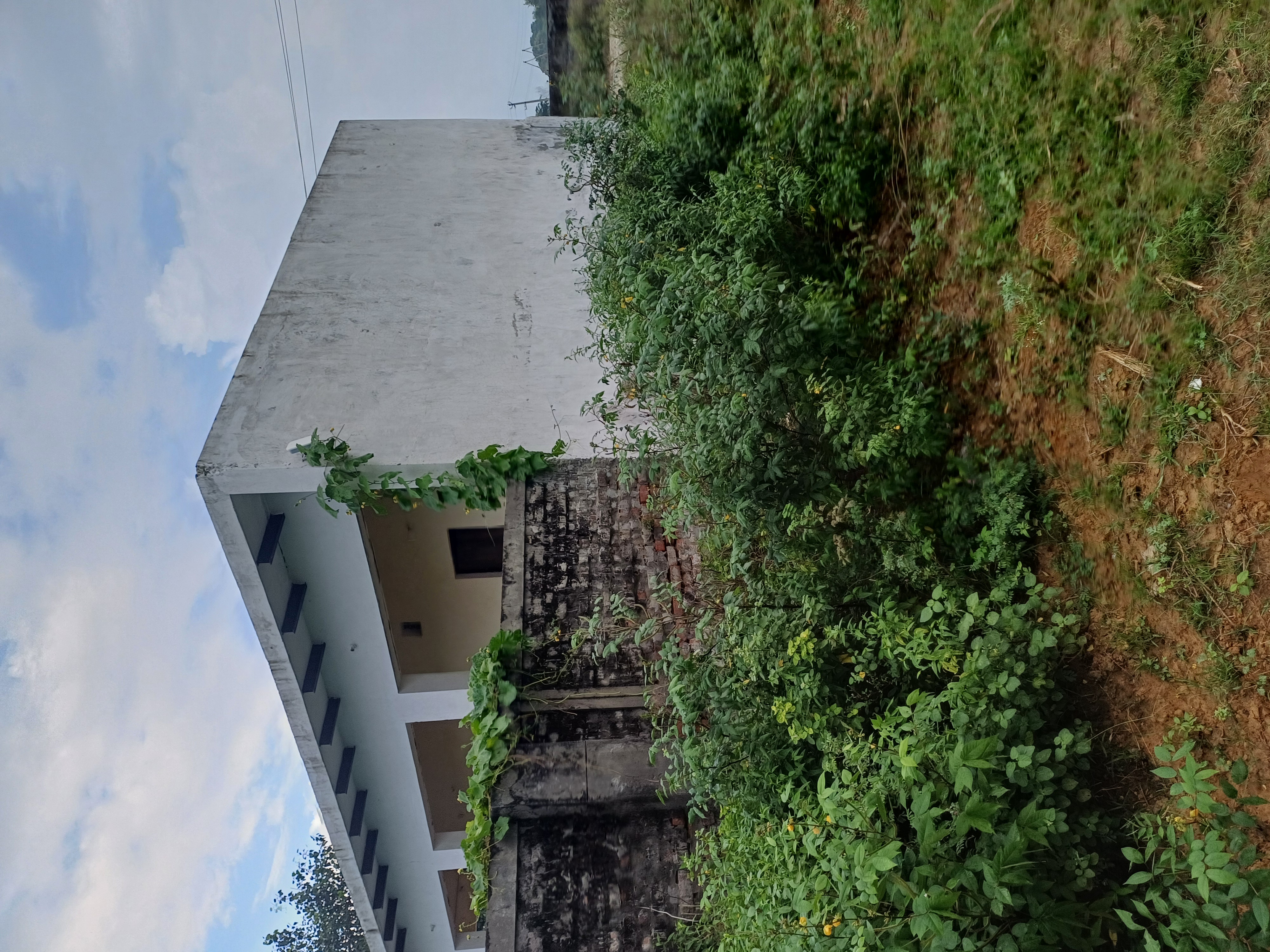 Plot For Sale in Jay Guru Ji Property 