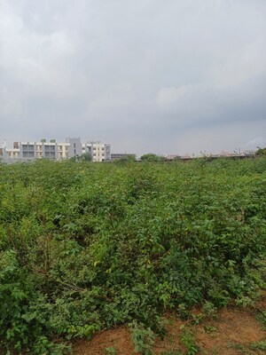 Plot – Garden View at Bhopani - for Sale
