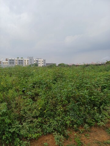  Plot – Garden View at Bhopani - for Sale