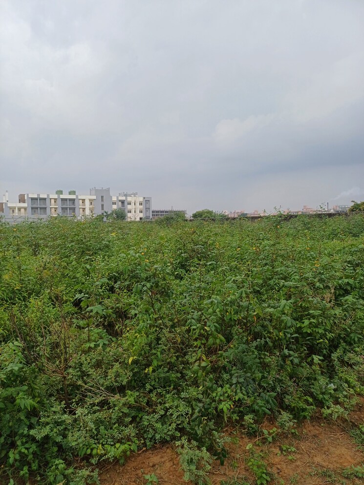 Garden, bhopani  54 Sq.Yd. Plot In Bhopani Faridabad 9277022