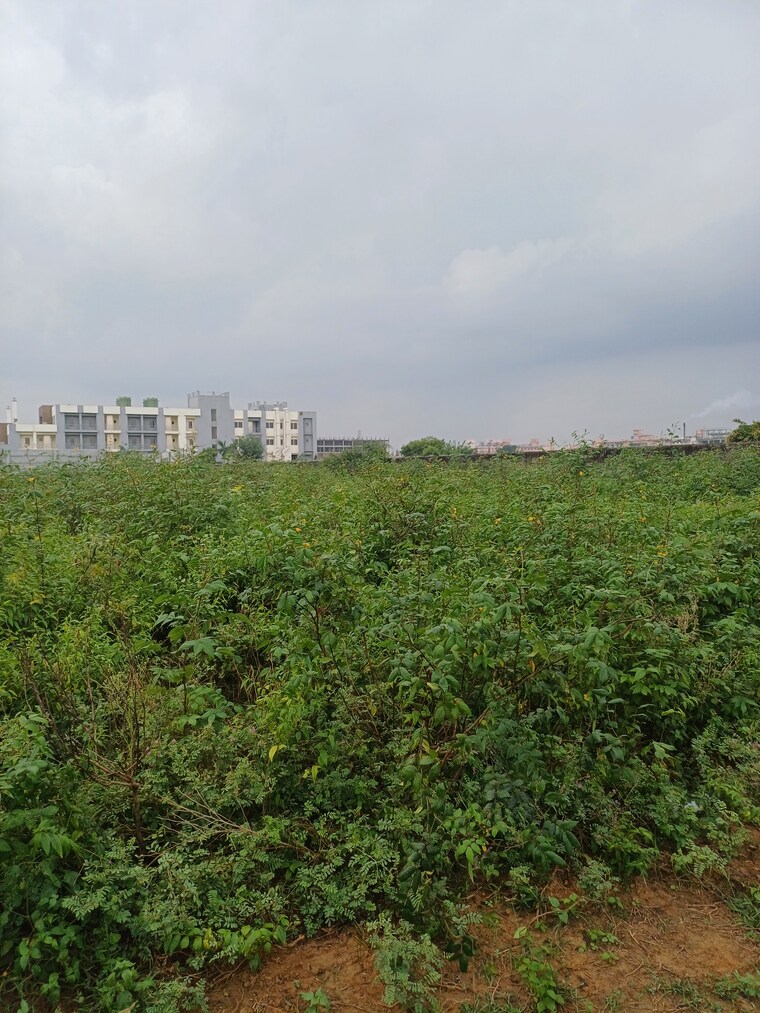 Garden, bhopani  54 Sq.Yd. Plot In Bhopani Faridabad 9277022