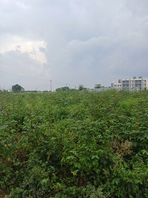  Plot – Garden View at Bhopani - for Sale