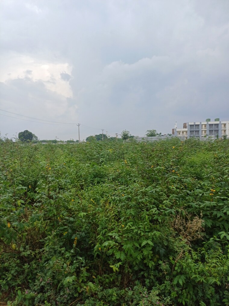 Garden, bhopani  54 Sq.Yd. Plot In Bhopani Faridabad 9277022