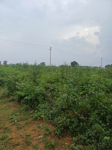  Plot – Garden View at Bhopani - for Sale