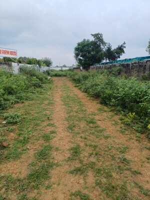  Plot For Sale in Bhopani