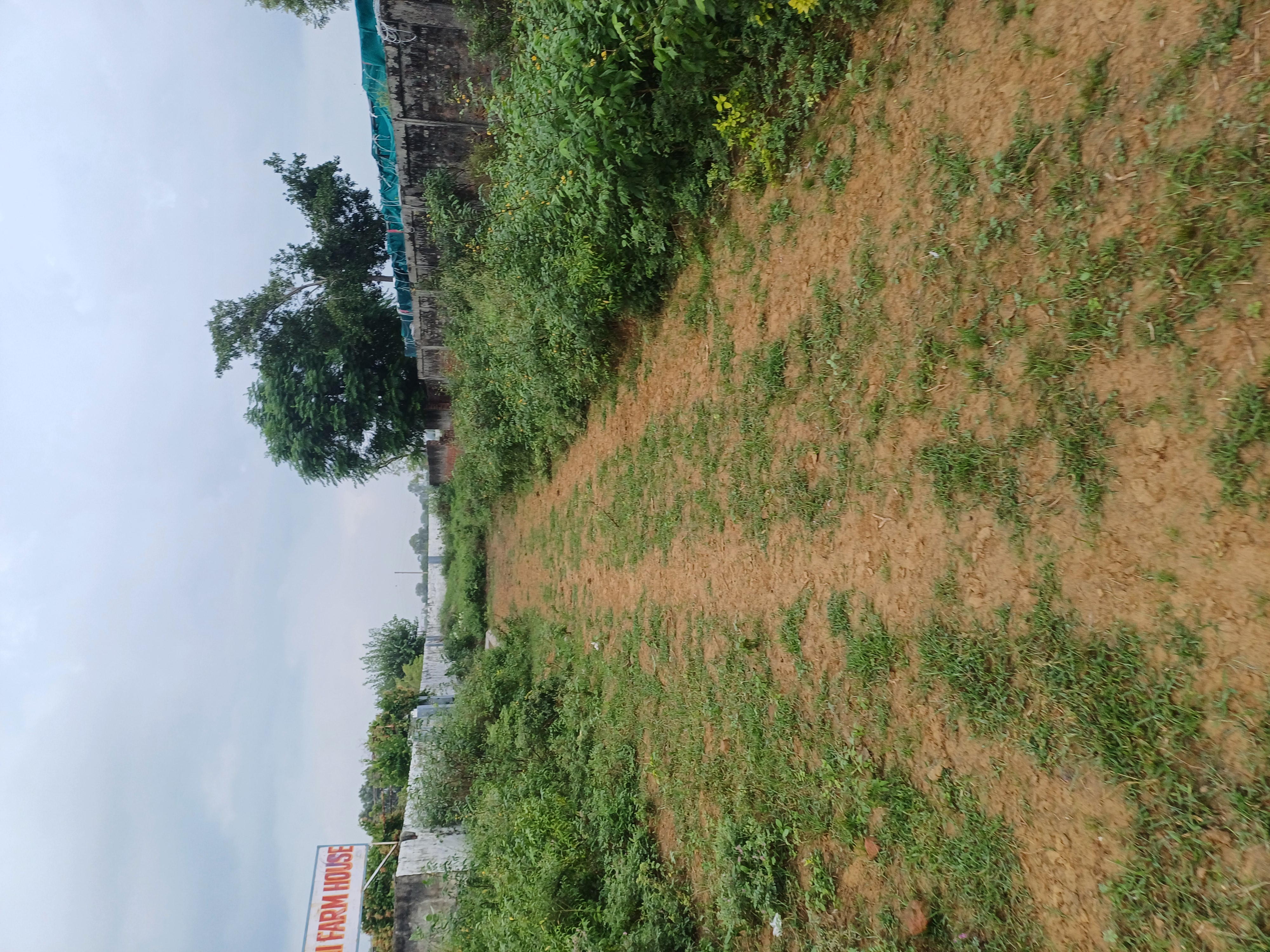 Plot For Sale in Jay Guru Ji Property 