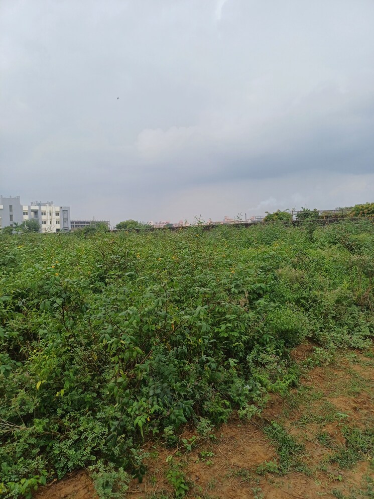 Garden, bhopani  55 Sq.Yd. Plot In Bhopani Faridabad 9277058