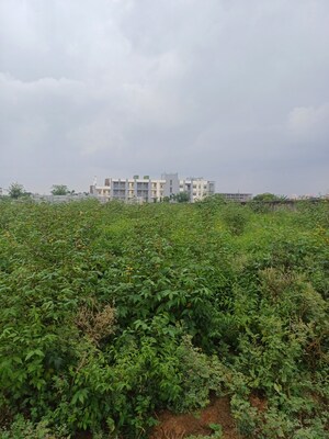  Plot – Garden View at Bhopani - for Sale