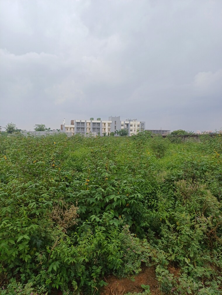 Garden, bhopani  55 Sq.Yd. Plot In Bhopani Faridabad 9277058