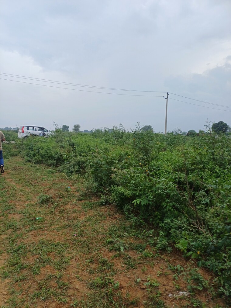 Garden, bhopani  55 Sq.Yd. Plot In Bhopani Faridabad 9277058