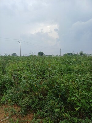  Plot – Garden View at Bhopani - for Sale