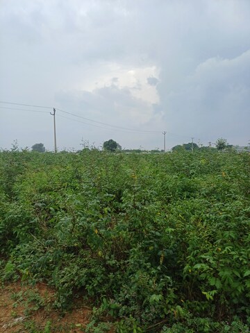  Plot – Garden View at Bhopani - for Sale