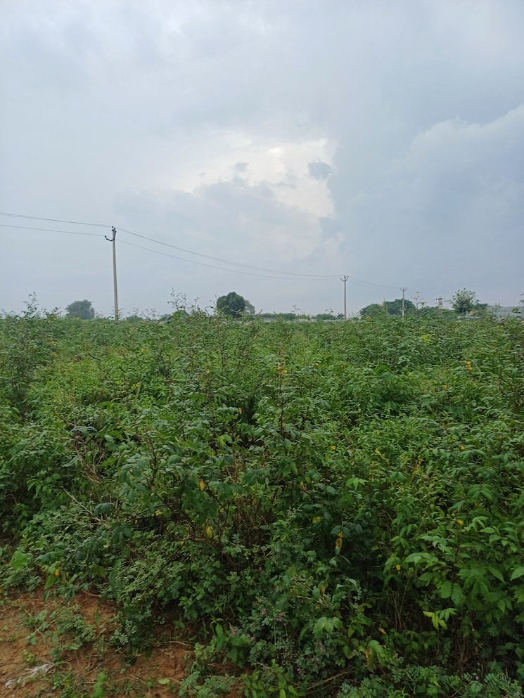 Garden, bhopani  55 Sq.Yd. Plot In Bhopani Faridabad 9277058