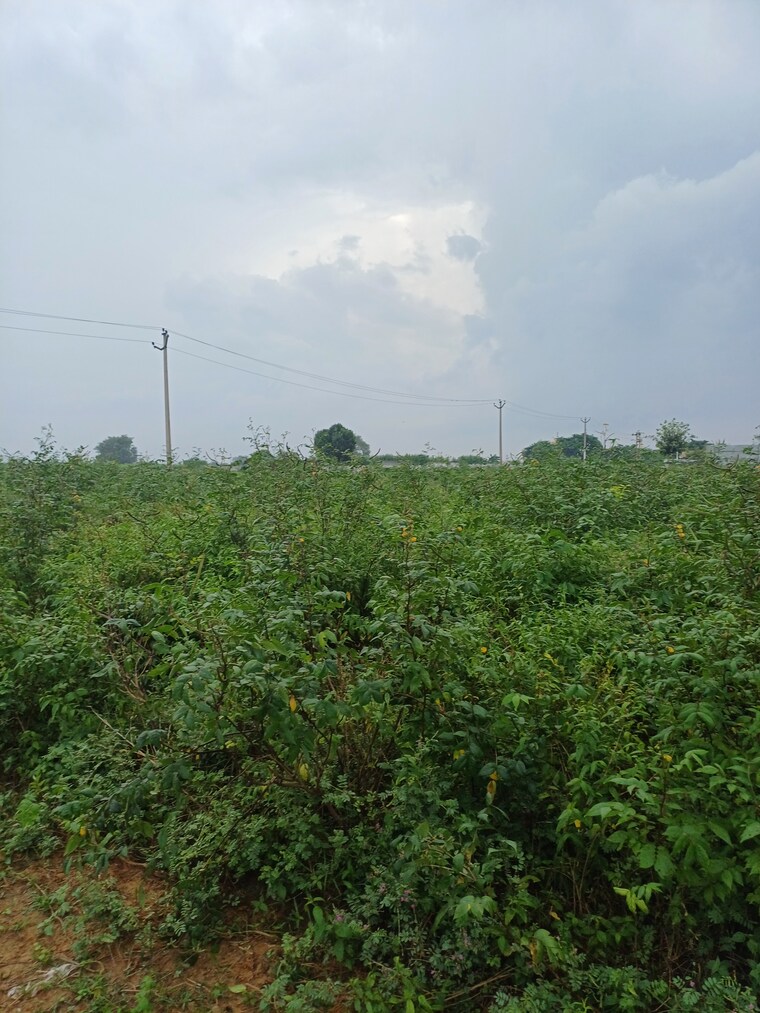 Garden, bhopani  55 Sq.Yd. Plot In Bhopani Faridabad 9277058