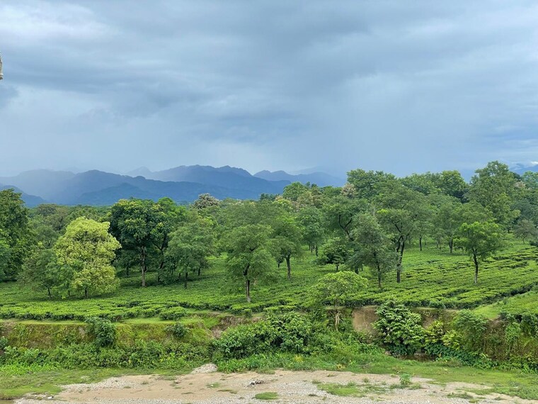 undefined, dagapur 3 Bedroom 1400 Sq.Ft. Apartment In Dagapur Siliguri 9277094