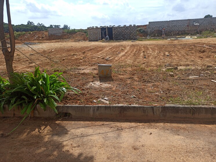 undefined, sarjapur  1500 Sq.Yd. Plot In Sarjapur Bangalore 9277129