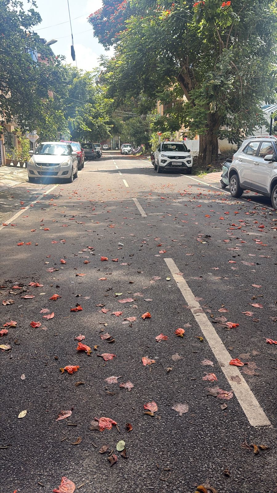 Plot For Sale in Nishchay