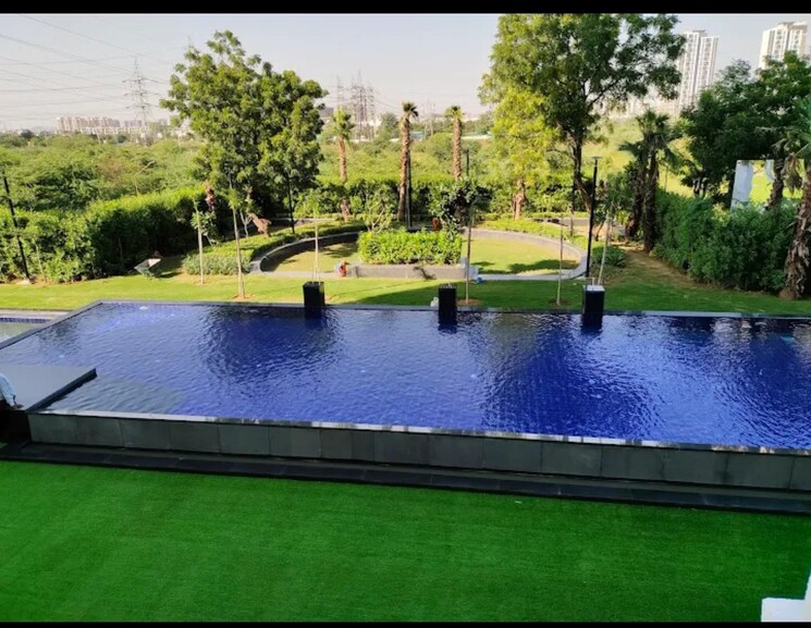 Swimming Pool, tulip-purple 4 Bedroom 2400 Sq.Ft. Apartment In Sector 69 Gurgaon 9277652