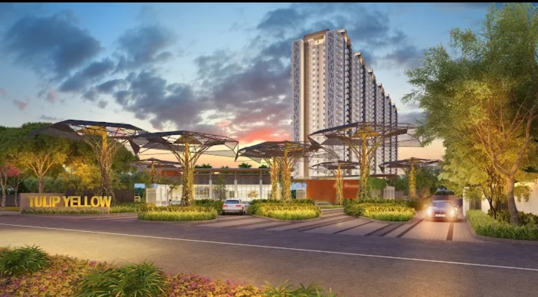 3 BHK Apartment For Sale in Tulip Yellow
