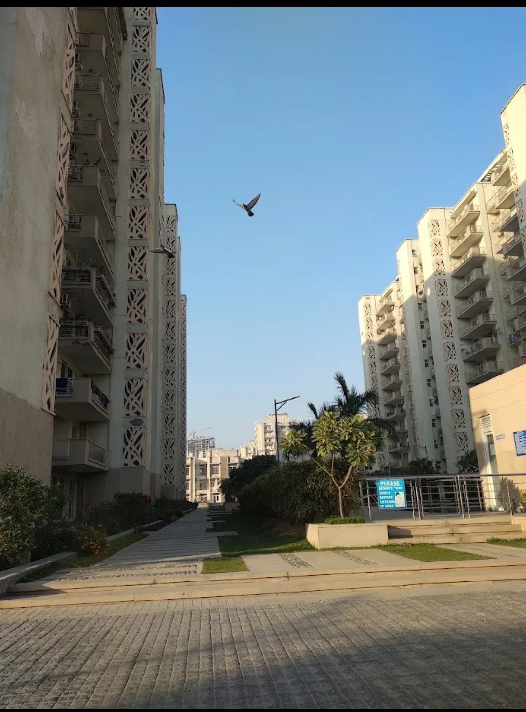 4 BHK Apartment For Sale in Tulip Ivory