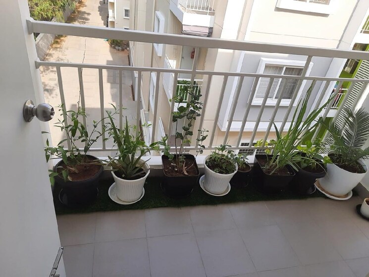 Team Area, vaishnavi-serene 2.5 Bedroom 1116 Sq.Ft. Apartment In Yelahanka Bangalore 9277703