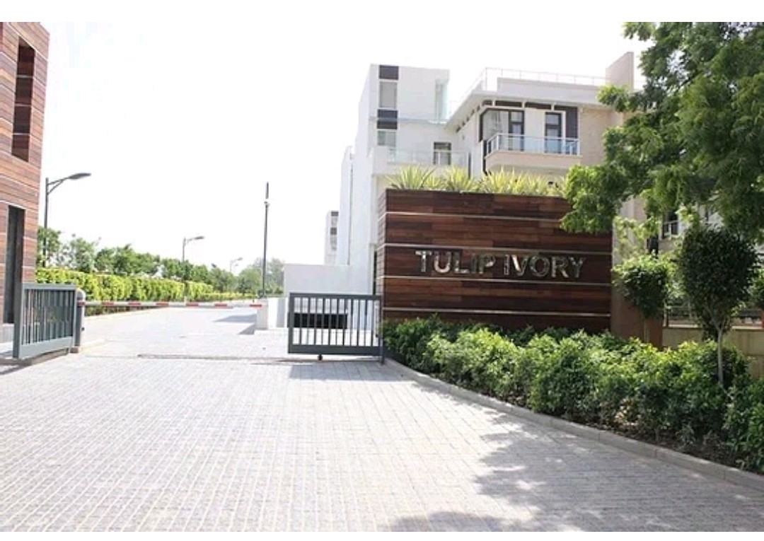 5 BHK 5000 Sq.Ft. Villa in Tulip Ivory Villas