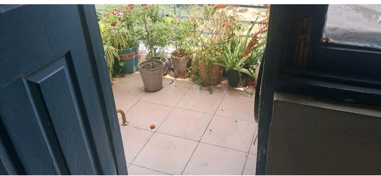 Balcony, tulip-white 3 Bedroom 1326 Sq.Ft. Apartment In Sector 69 Gurgaon 9277741