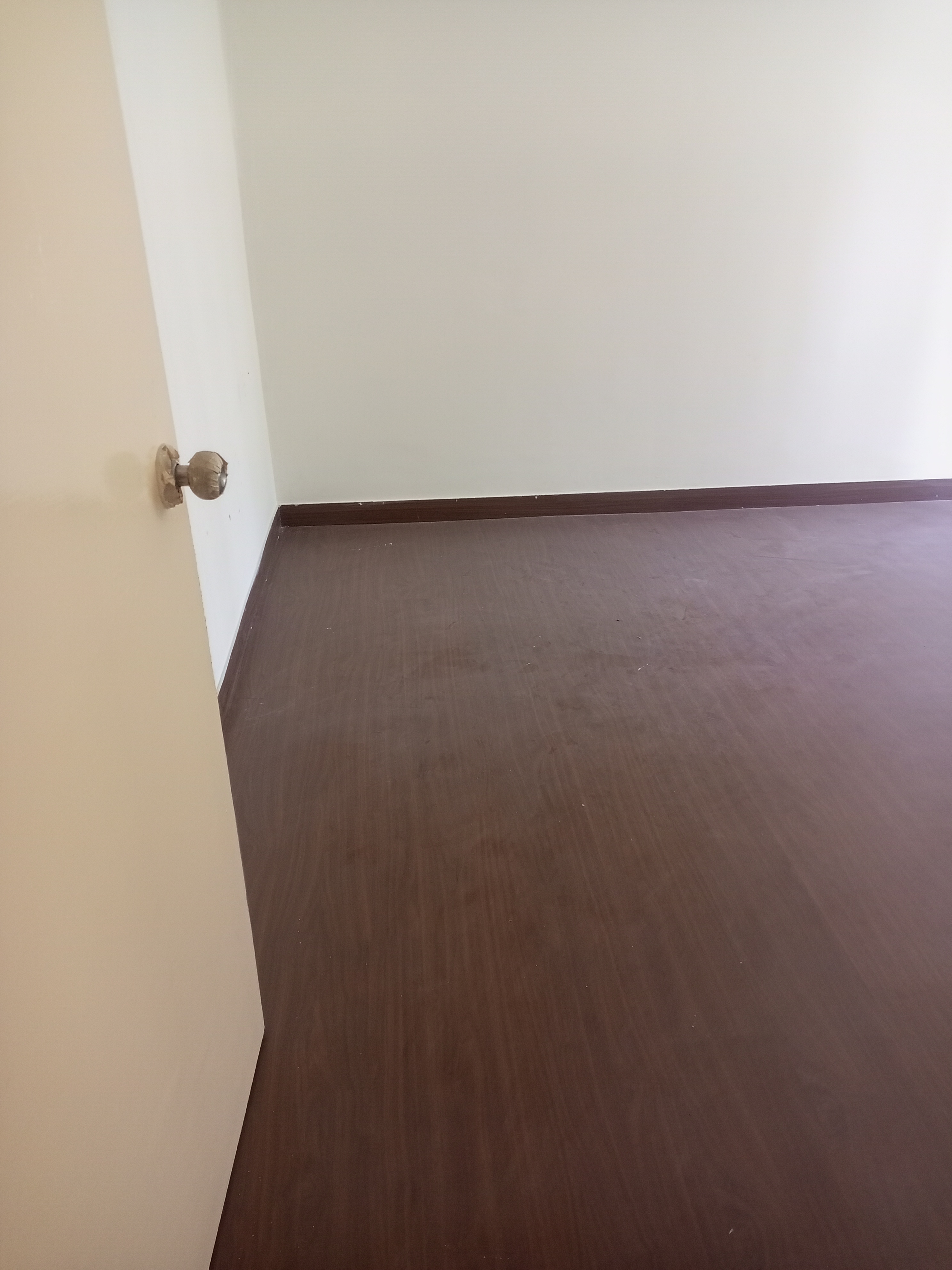 2.5 BHK + Study Room 1115 Sq.Ft. Apartment in Amrapali Dream Valley