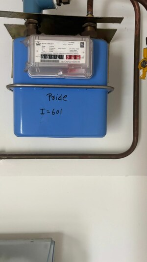 Furnished Amenities in 2 BHK Apartment at Pride Purple Park Connect, Hinjewadi – for Rent