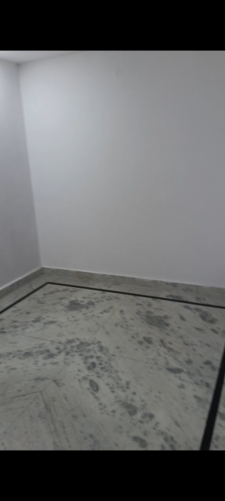 2 BHK + Pooja Room Builder Floor For Rent in Builder Floor 