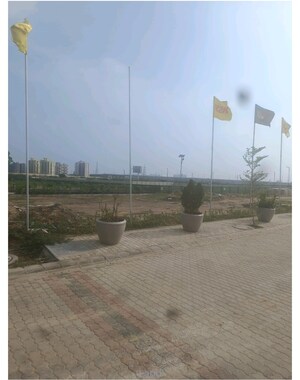 Plot Area in  Plot at M2K Olive Greens, Sector 104 – for Sale