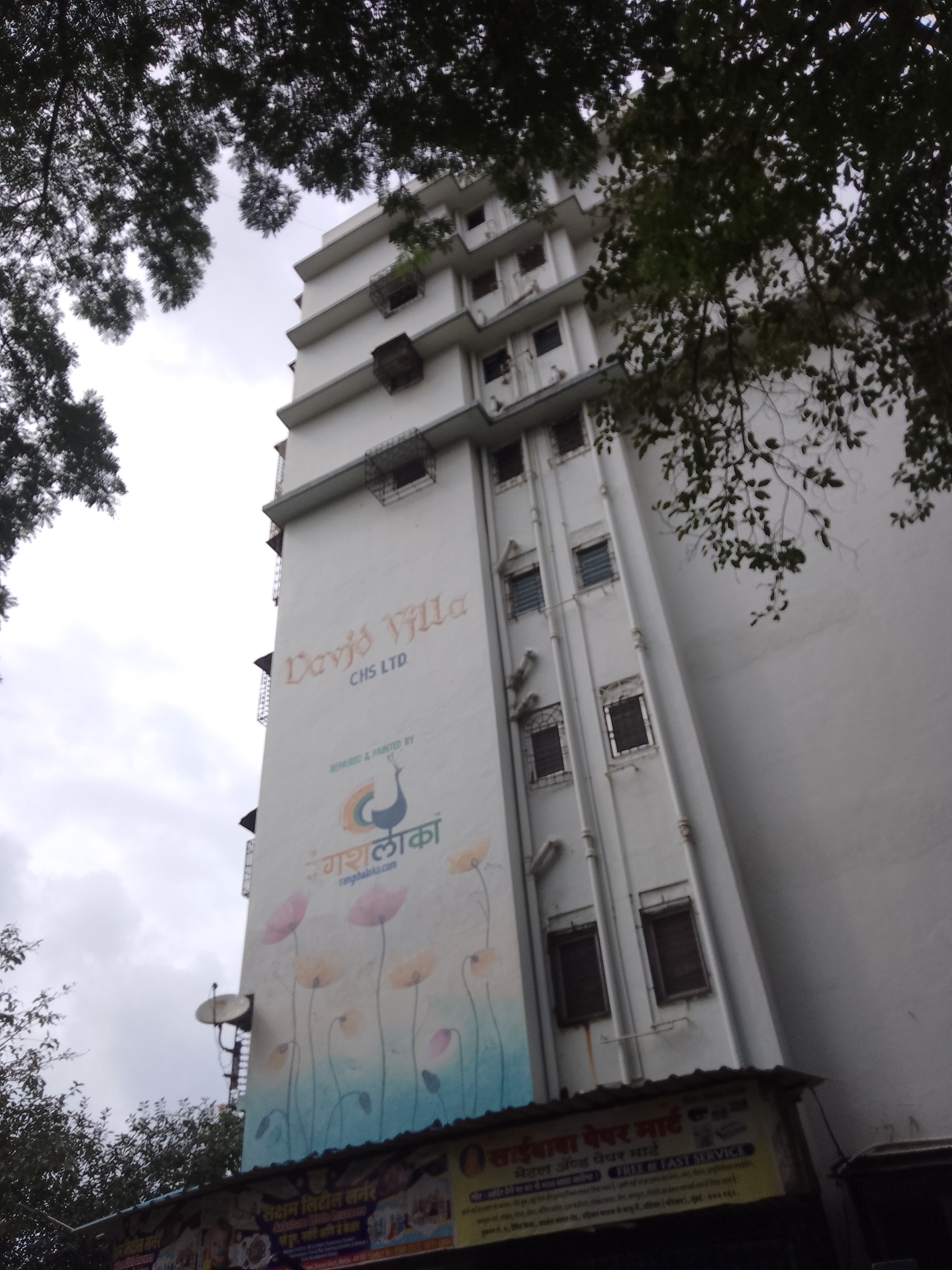 1 BHK Apartment For Rent in David Villa CHS