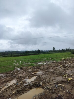  Plot For Sale in Herbertpur