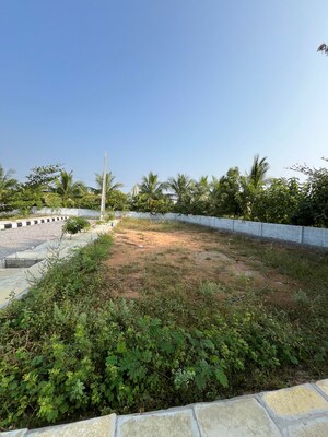 Plot Area in  Plot at Bacharam – for Sale