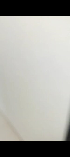 3 BHK Apartment For Rent in Best Complex Andheri West, Andheri West