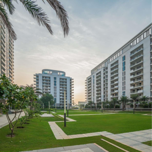 3 BHK Apartment – Exterior View View at DLF The Ultima, Sector 81 - for Sale