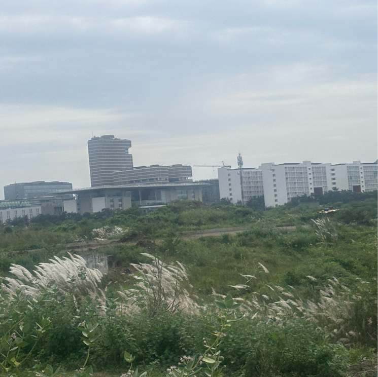 undefined, tadepalli  2400 Sq.Yd. Plot In Tadepalli Vijayawada 9278262