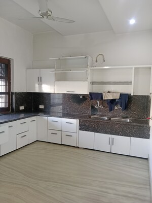Kitchen in 2.5 BHK Builder Floor at Sector 13 – for Rent
