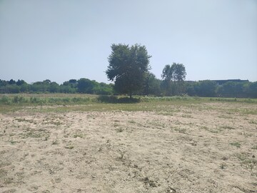 Plot Area in  Plot at Ghilot – for Sale