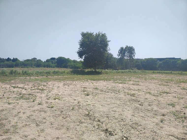 undefined, ghilot  100 Sq.Yd. Plot In Ghilot Neemrana 9278300