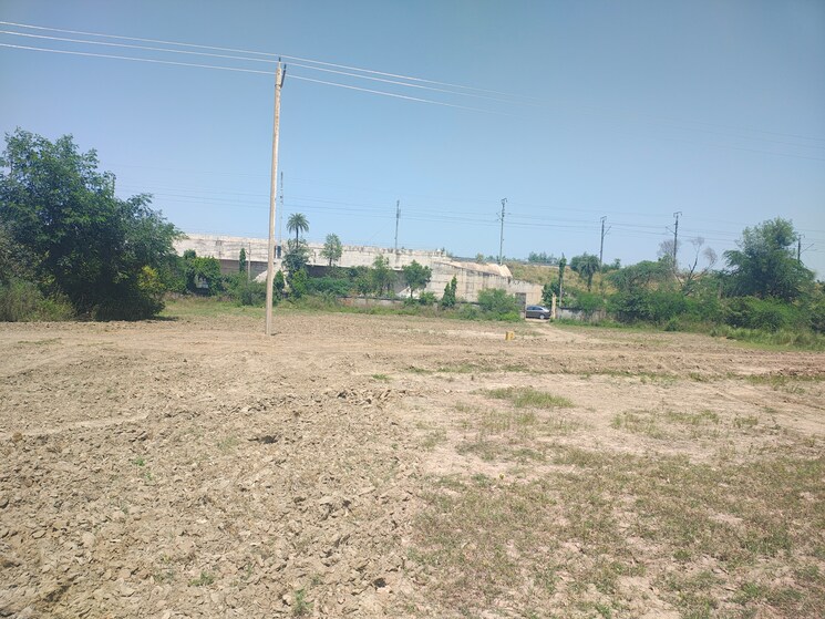undefined, ghilot  100 Sq.Yd. Plot In Ghilot Neemrana 9278300
