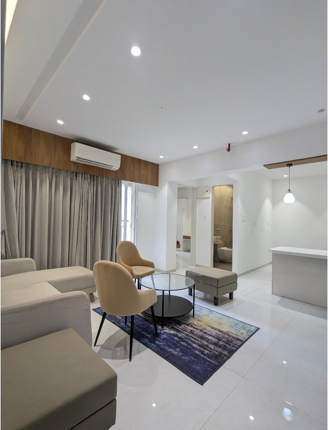 1 BHK 501 Sq.Ft. Apartment in Liberty Bay Vue