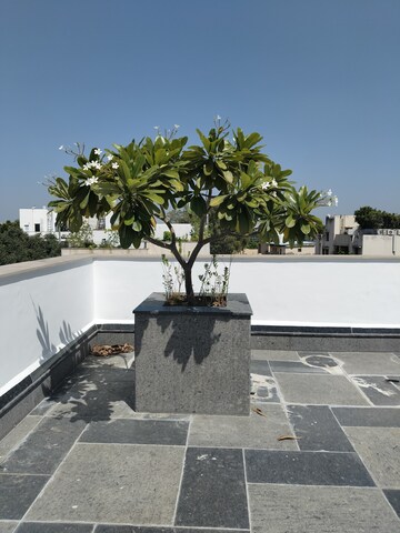 Balcony in 4 BHK Builder Floor at Boutique Residential Apartments A 3 2, Vasant Vihar – for Rent