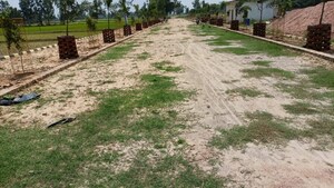 Plot Area in  Plot at Sultanpur Road – for Sale