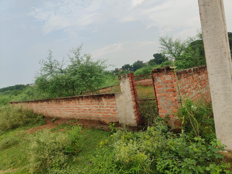 undefined, deva road  608 Sq.Ft. Plot In Deva Road Lucknow 9279395