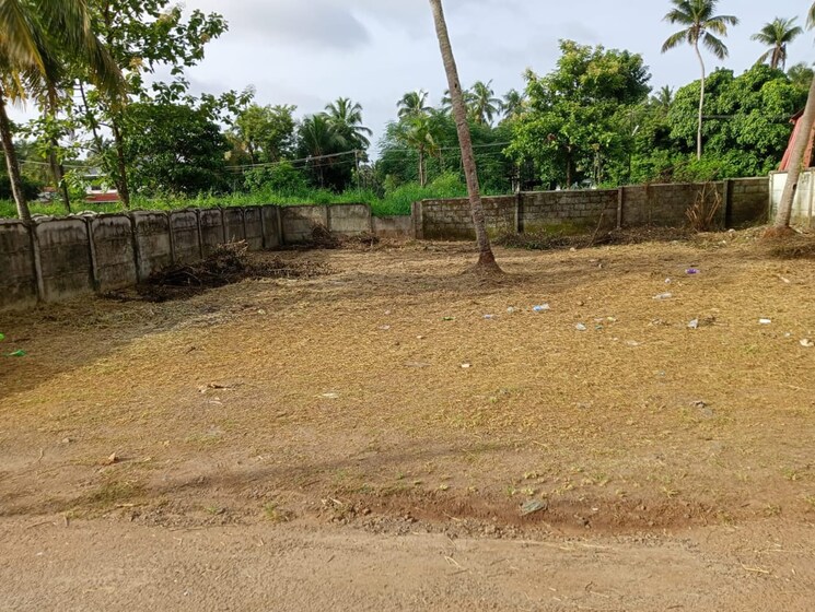 undefined, ollur  3267 Sq.Ft. Plot In Ollur Thrissur 9279258